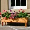 Golden Larch Trough On Legs -KANG Plants Shop pr2000002525
