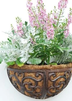 Cast Iron Wall Manger -KANG Plants Shop pr2000004969 card3 lg