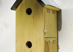 Sparrow Flats -KANG Plants Shop pr2000005252 card3 lg