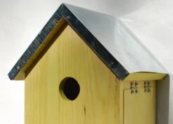 Sparrow Flats -KANG Plants Shop pr2000005252 card4 lg