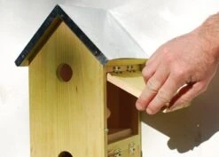 Sparrow Flats -KANG Plants Shop pr2000005252 card5 lg