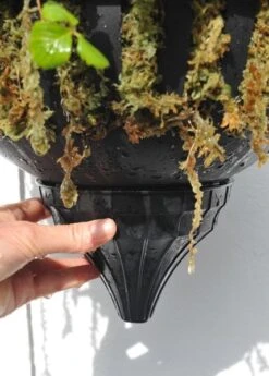 Pair Of Self-watering Hanging Baskets 8 Pair Of Self-watering Hanging Baskets -KANG Plants Shop pr2000006136 card3 lg