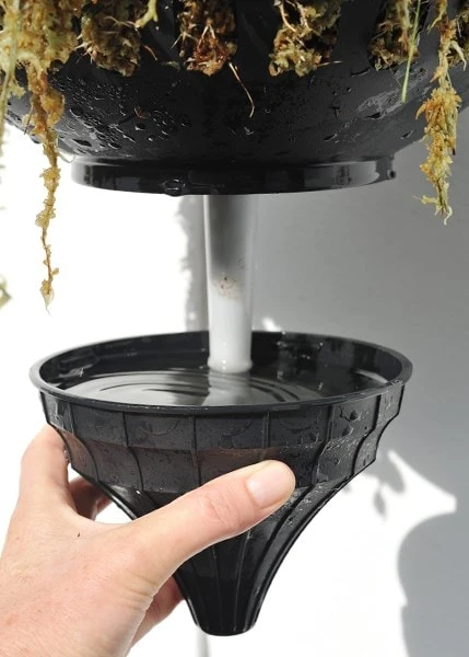 Pair Of Self-watering Hanging Baskets 6 Pair Of Self-watering Hanging Baskets - Image 4