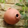 Blue Tit Terracotta Bird Pot -KANG Plants Shop pr2000007298