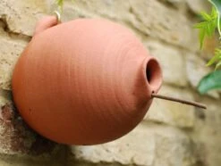 Blue Tit Terracotta Bird Pot 7 Blue Tit Terracotta Bird Pot -KANG Plants Shop pr2000007298 card3 lg