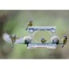 Complete Window Feeder For Birds 1 Complete Window Feeder For Birds -KANG Plants Shop pr2000008345