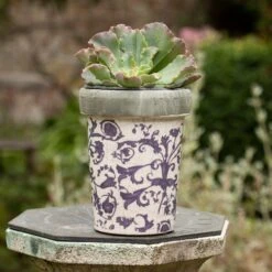 Aged Ceramic Long Tom Pot -KANG Plants Shop pr2000008818 card2 lg