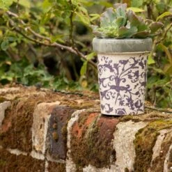 Aged Ceramic Long Tom Pot -KANG Plants Shop pr2000008818 card3 lg