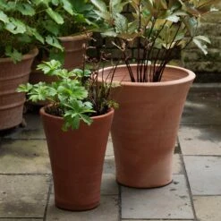 Empoli Terracotta Lily Pot 11 Empoli Terracotta Lily Pot -KANG Plants Shop pr2000012808 card2 lg