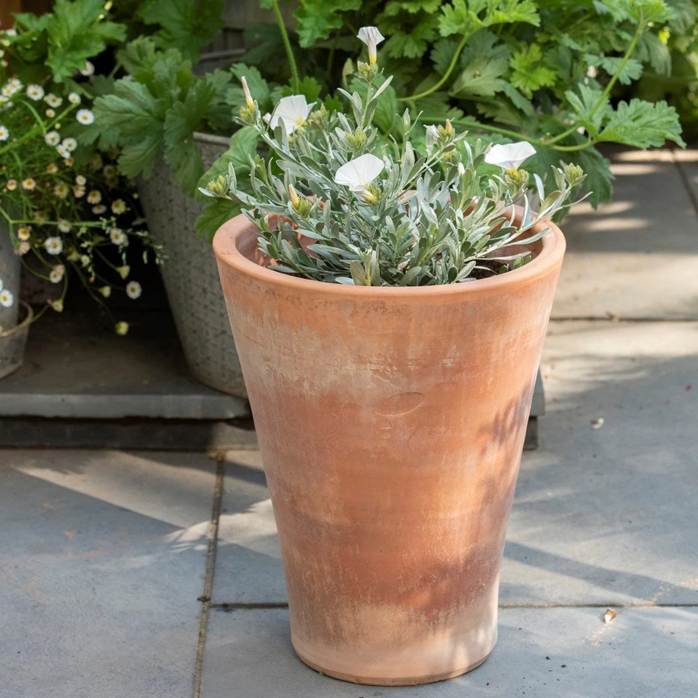 Empoli Terracotta Lily Pot 5 Empoli Terracotta Lily Pot - Image 3