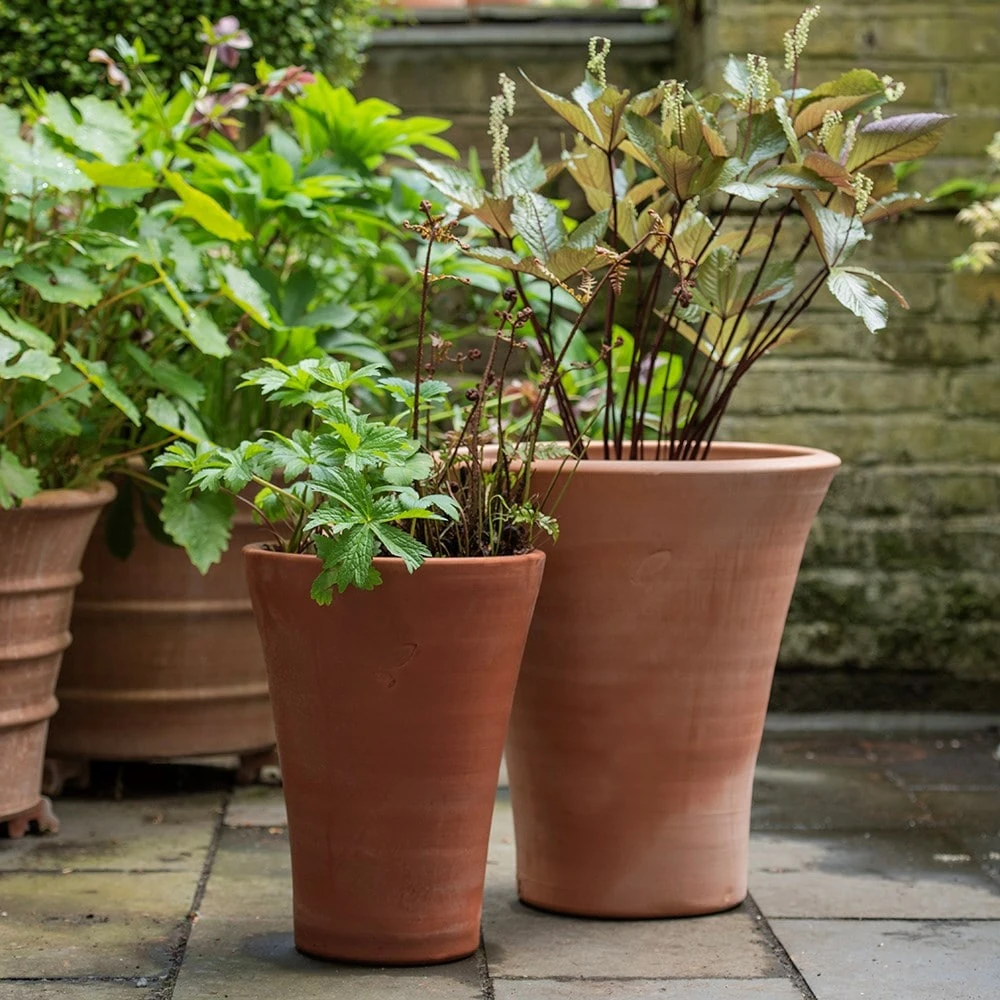 Empoli Terracotta Lily Pot 7 Empoli Terracotta Lily Pot - Image 5