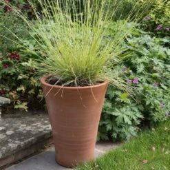 Empoli Terracotta Lily Pot 16 Empoli Terracotta Lily Pot -KANG Plants Shop pr2000012808 card7 lg