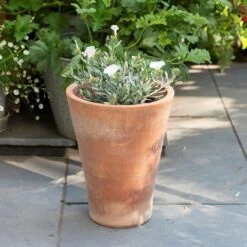 Empoli Terracotta Lily Pot 17 Empoli Terracotta Lily Pot -KANG Plants Shop pr2000012808 card8 lg