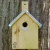 Blue Tit Nesting Box -KANG Plants Shop pr2000013164