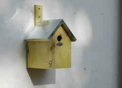 Blue Tit Nesting Box -KANG Plants Shop pr2000013164 card3 lg
