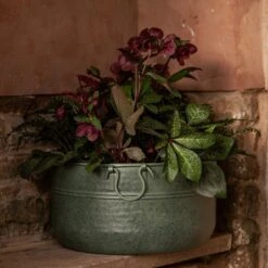 Verdigris Plant Bowl/drink Bucket -KANG Plants Shop pr2000016191 card4 lg