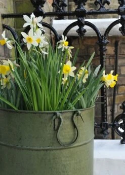 Verdigris Tall Metal Planter 9 Verdigris Tall Metal Planter -KANG Plants Shop pr2000016192 card3 lg