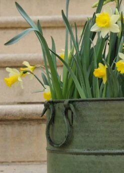 Verdigris Tall Metal Planter 10 Verdigris Tall Metal Planter -KANG Plants Shop pr2000016192 card4 lg