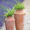 Terracotta Oil Pot 2 Terracotta Oil Pot -KANG Plants Shop pr2000016940