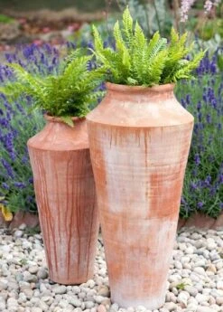 Terracotta Oil Pot -KANG Plants Shop pr2000016940 card5 lg