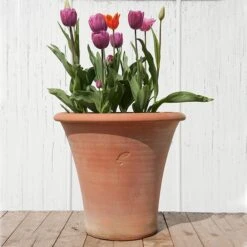 Terracotta Arc Pot -KANG Plants Shop pr2000016942 card8 lg