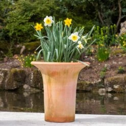 Terracotta Flared Rim Pot -KANG Plants Shop pr2000017350 card9 lg