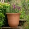Terracotta Perennial Bell Pot -KANG Plants Shop pr2000017362