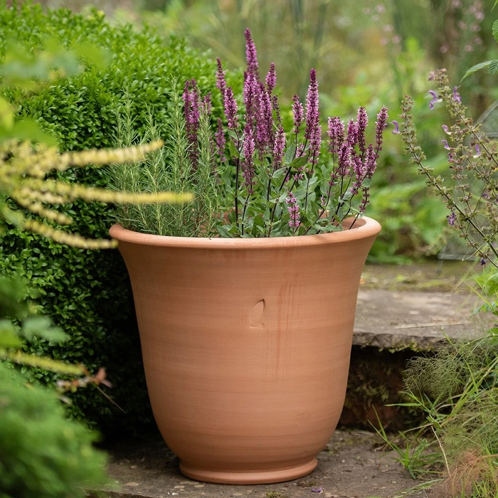 Terracotta Perennial Bell Pot 5 Terracotta Perennial Bell Pot - Image 3
