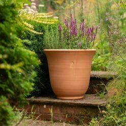 Terracotta Perennial Bell Pot 11 Terracotta Perennial Bell Pot -KANG Plants Shop pr2000017362 card4 lg