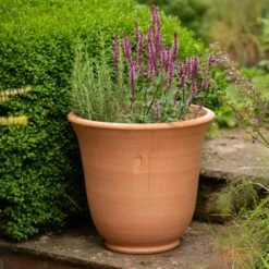 Terracotta Perennial Bell Pot 12 Terracotta Perennial Bell Pot -KANG Plants Shop pr2000017362 card5 lg