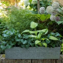 Embossed Galvanised Window Trough -KANG Plants Shop pr2000018441 card3 lg