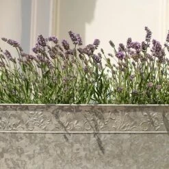 Embossed Galvanised Window Trough -KANG Plants Shop pr2000018441 card4 lg