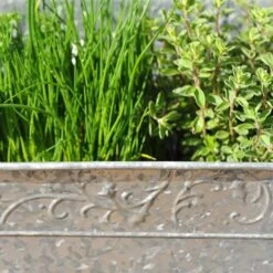 Embossed Galvanised Window Trough -KANG Plants Shop pr2000018441 card6 lg