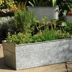 Embossed Galvanised Window Trough -KANG Plants Shop pr2000018441 card8 lg