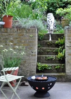 Cast Iron Fire Pit With Grill -KANG Plants Shop pr2000019246 card7 lg
