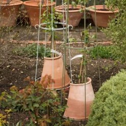 Clematis Root Protector 11 Clematis Root Protector -KANG Plants Shop pr2000020697 card3 lg