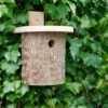 Natural Log Tit Nesting Box -KANG Plants Shop pr2000022581