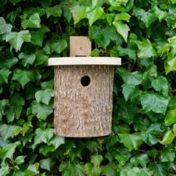 Natural Log Tit Nesting Box 6 Natural Log Tit Nesting Box -KANG Plants Shop pr2000022581 card2 lg