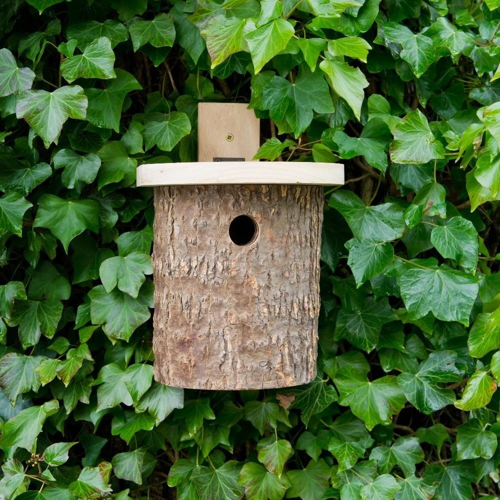 Natural Log Tit Nesting Box 4 Natural Log Tit Nesting Box - Image 2