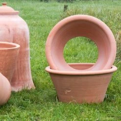 Terracotta Rimmed Grow Pot -KANG Plants Shop pr2000022763 card2 lg