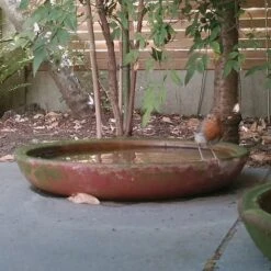 Terracotta Saucer -KANG Plants Shop pr2000022770 card3 lg