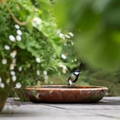 Terracotta Saucer -KANG Plants Shop pr2000022770 card6 lg