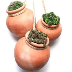 Terracotta Babylon Hanging Pot 11 Terracotta Babylon Hanging Pot -KANG Plants Shop pr2000023695 card2 lg