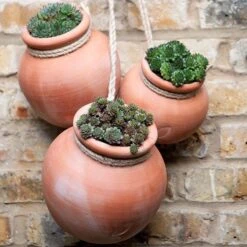 Terracotta Babylon Hanging Pot 13 Terracotta Babylon Hanging Pot -KANG Plants Shop pr2000023695 card4 lg