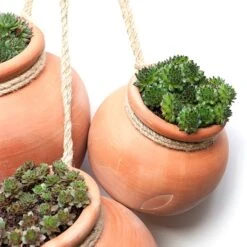 Terracotta Babylon Hanging Pot 14 Terracotta Babylon Hanging Pot -KANG Plants Shop pr2000023695 card5 lg