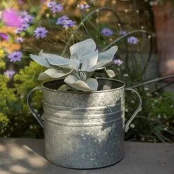Galvanised Planter With Handles -KANG Plants Shop pr2000026340 card3 lg