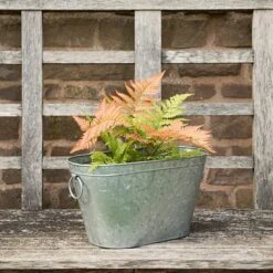 Galvanised Metal Trough -KANG Plants Shop pr2000026345 card5 lg