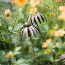Echinacea Plant Stake - Antique Bronze