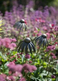 Echinacea Plant Stake - Antique Bronze -KANG Plants Shop pr2000026357 card8 lg