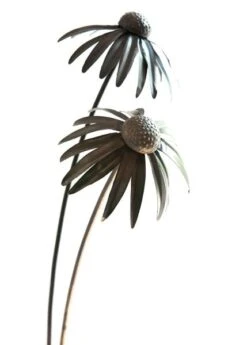 Echinacea Plant Stake - Antique Bronze -KANG Plants Shop pr2000026357 card9 lg